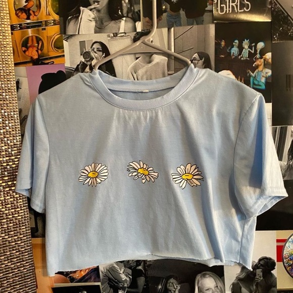 Sunflower Crop - Picture 3 of 4